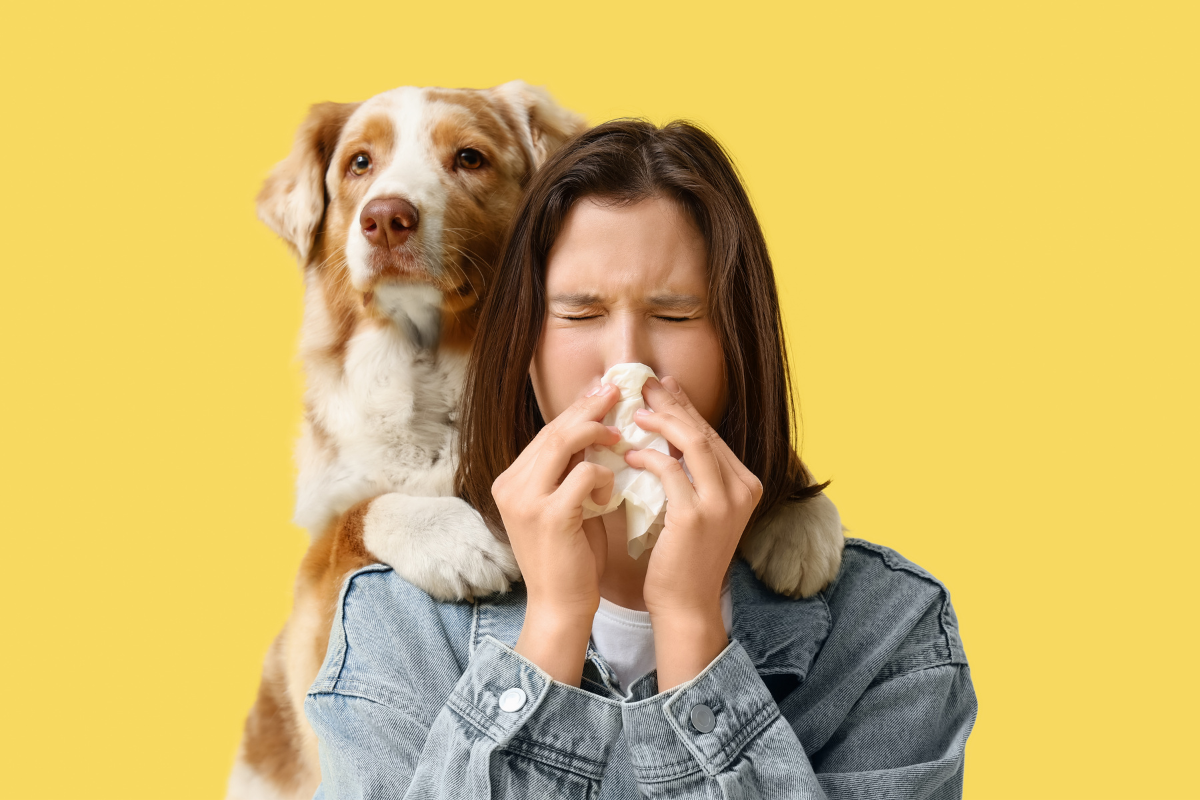 Seasonal Allergies and Immune Support: Preparing the Body for Spring