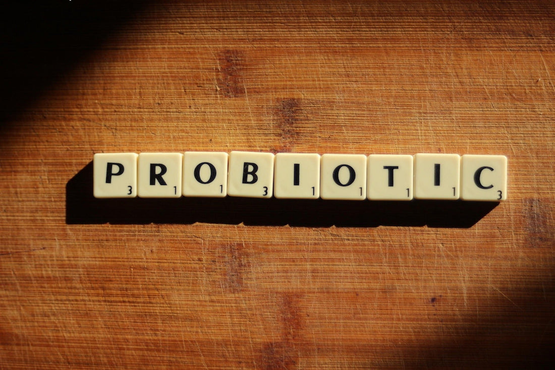 Power of Probiotics: Supporting Gut Health for Immunity, Mood, and Energy