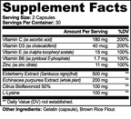 Daily Immune Support